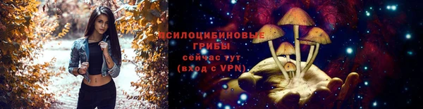 гашик Армянск