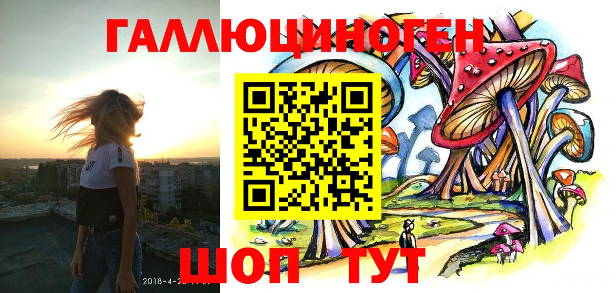 Меф Петропавловск-Камчатский