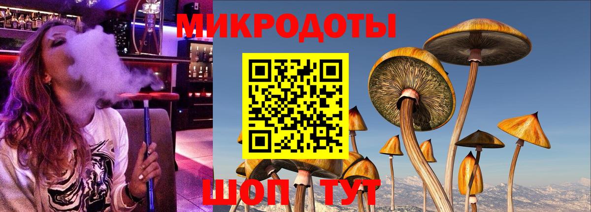 купить наркотики сайты  Галлюциногенные грибы мухоморы  Вход с VPN  Псилоцибиновые грибы мицелий  Петропавловск-Камчатский 