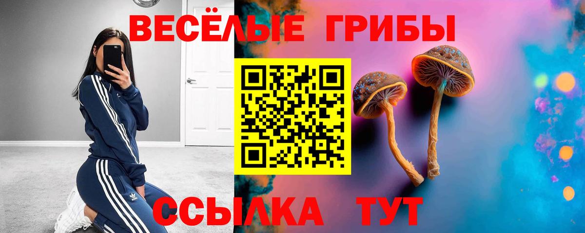 Галлюциногенные грибы MAGIC MUSHROOMS Петропавловск-Камчатский